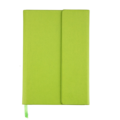 EE496-VERDE